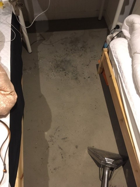 Carpet Before.jpg