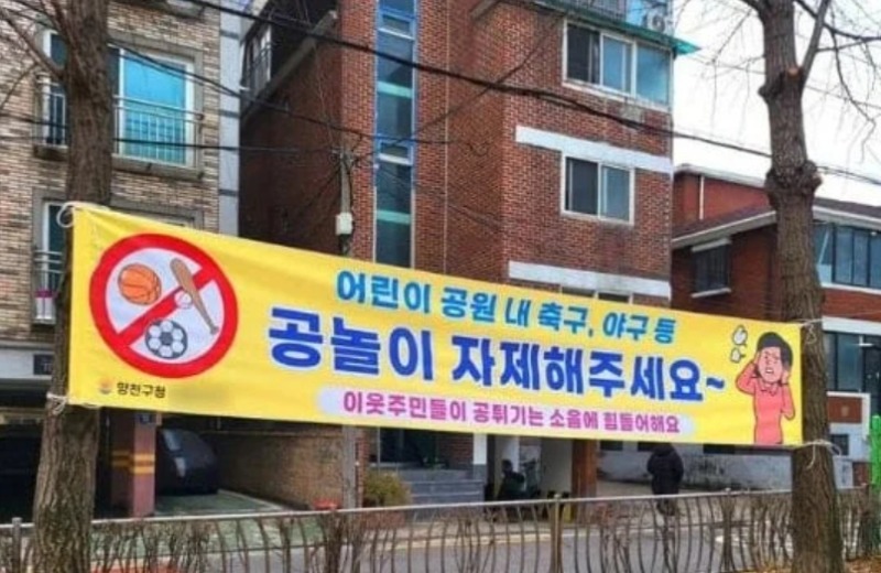 203.jpg