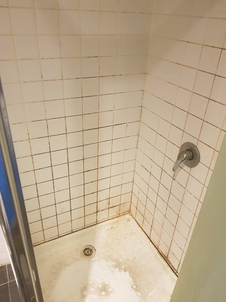 before.jpg